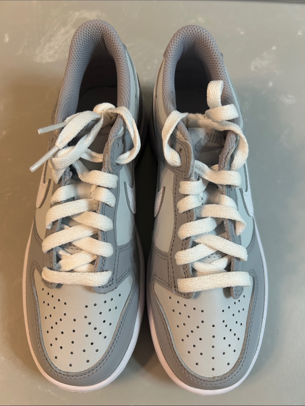 Nike Dunk Kids Gray and White Low-Top Sneakers